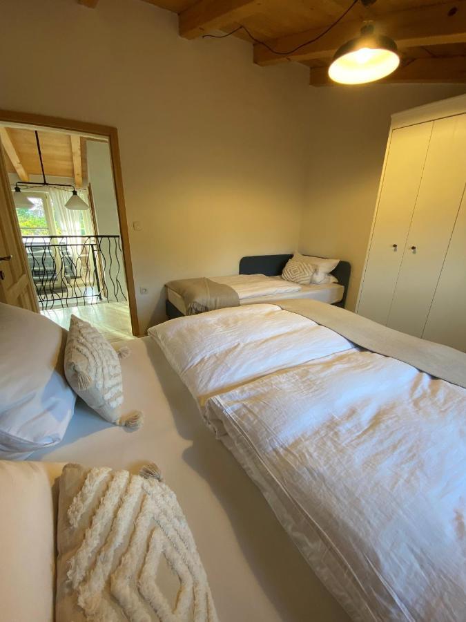 Wellness House Oliva With Heated Salt Water Pool, Sauna & Jakuzzi Villa