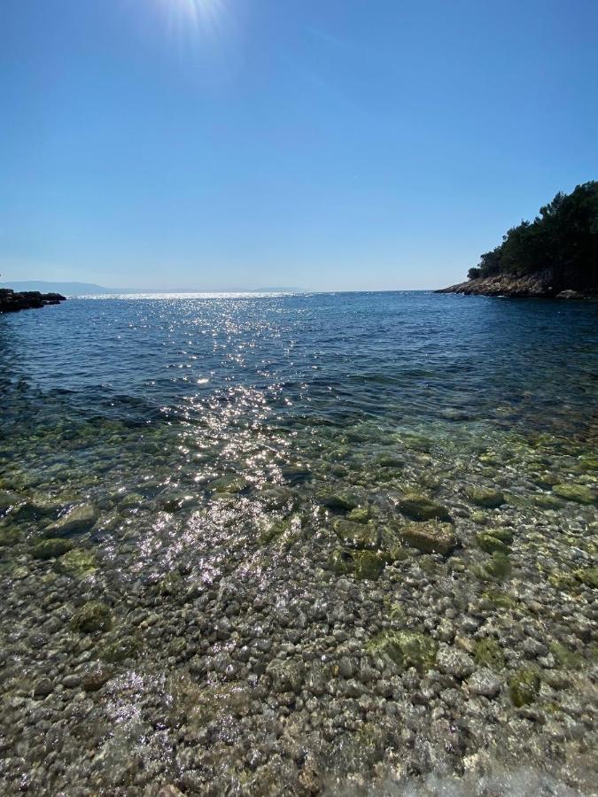Wellness House Oliva With Heated Salt Water Pool, Sauna & Jakuzzi * Labin (Istria)