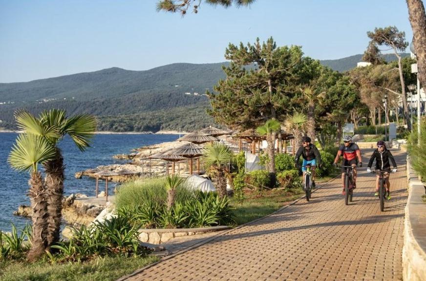 Wellness House Oliva With Heated Salt Water Pool, Sauna & Jakuzzi Vila Labin (Istria)