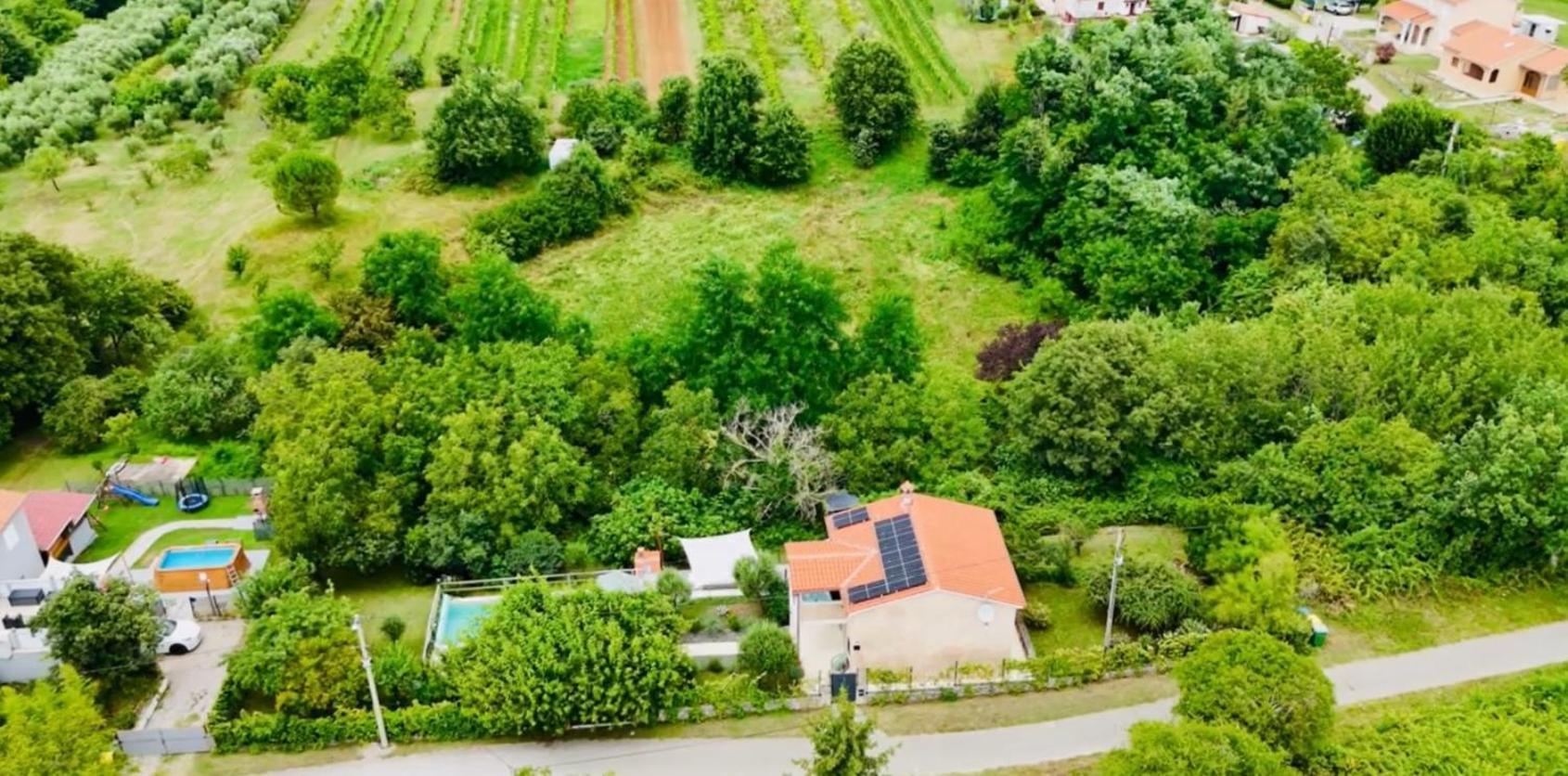Wellness House Oliva With Heated Salt Water Pool, Sauna & Jakuzzi Villa Labin (Istria)