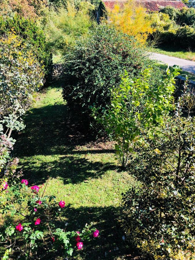 Vila Wellness House Oliva With Heated Salt Water Pool, Sauna & Jakuzzi Labin (Istria)